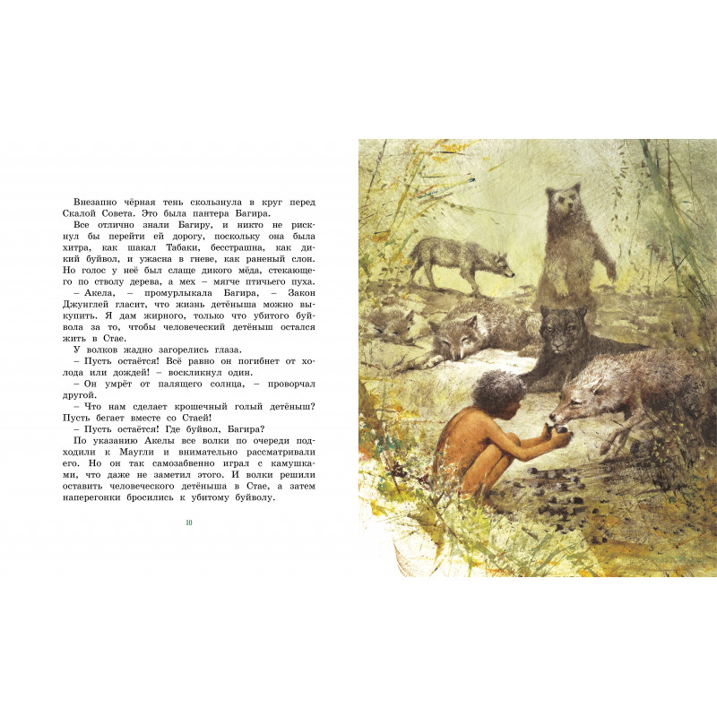 Изложение: Книга джунглей. Киплинг Редьярд